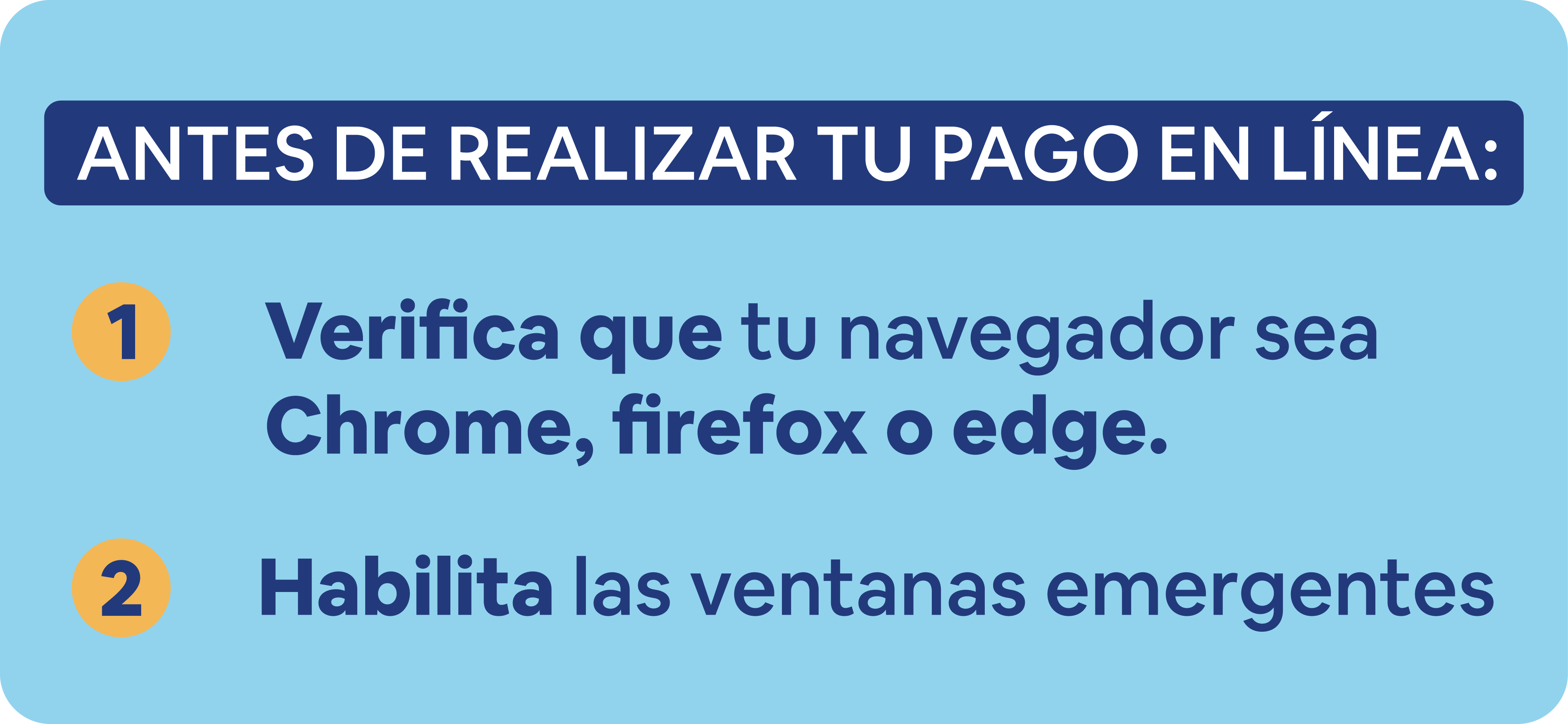 Instrucciones de pago